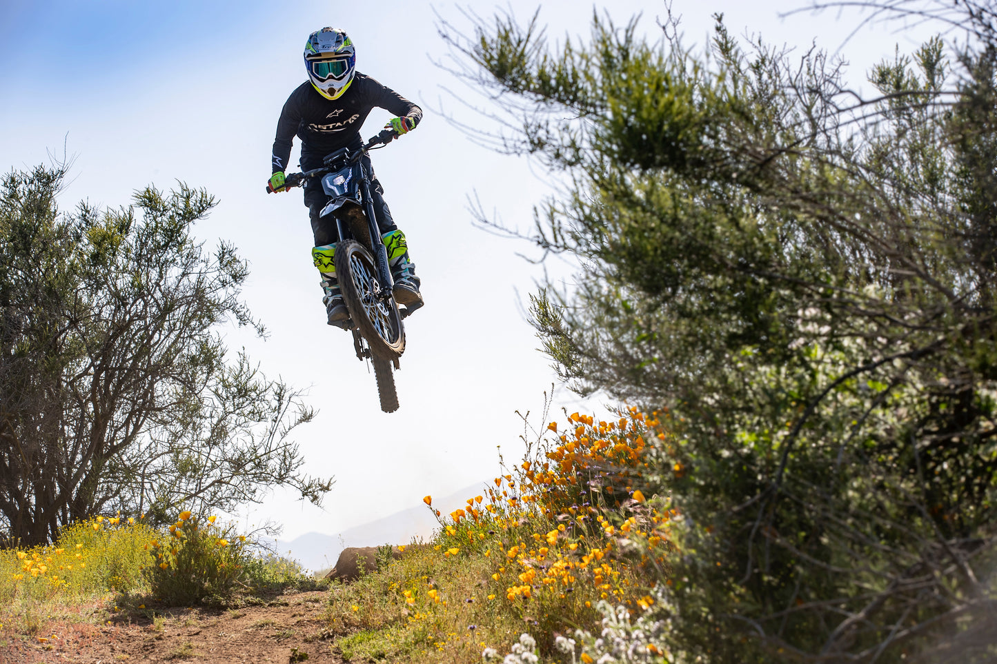 Rawrr Mantis 72 Volt - Local Pick up Only