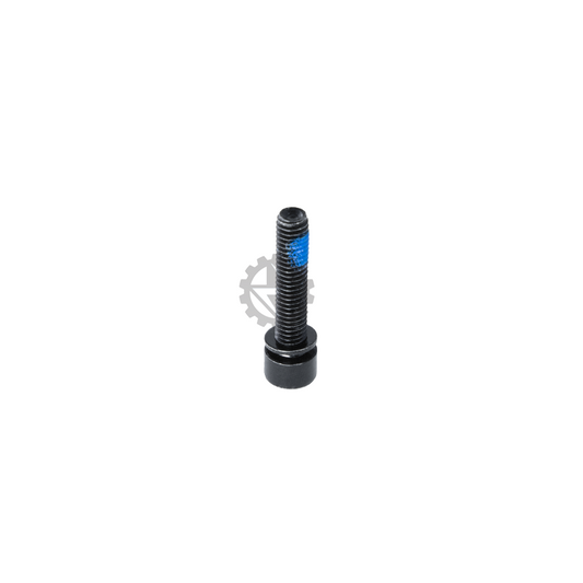 Black Socket Cap Screw (M6x30 with washer/Threadlock) (1) - Used with 10mm caliper spacer