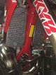 Rieju Radiator Guards 2021+